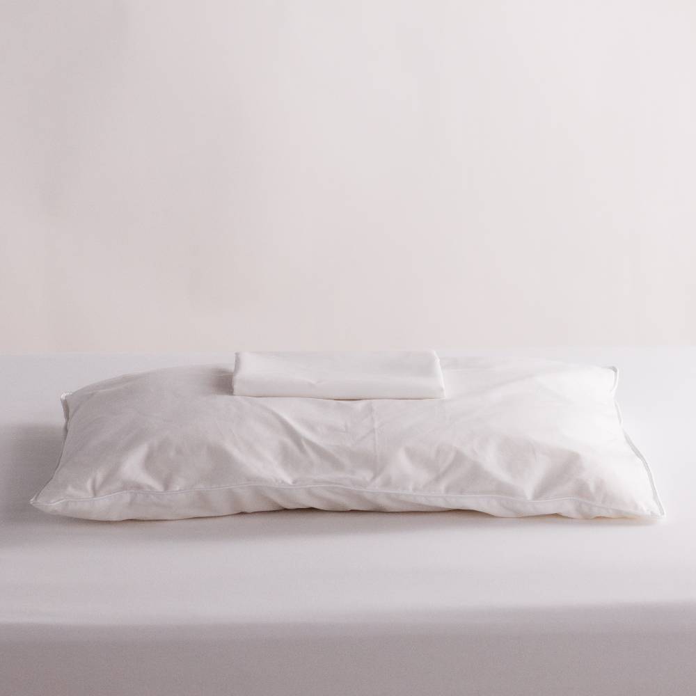 pillowcase and white pillows on a light gray bed against a plain white background