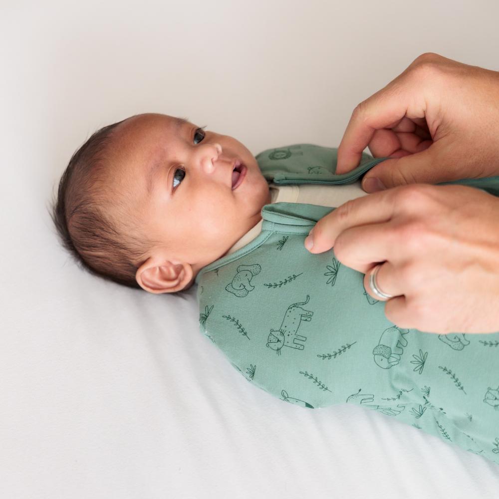 3.0 tog Organic Cotton Transition Swaddle Bag - Fern Safari