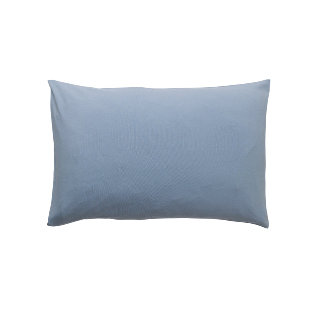 Pillow with Blue Pillowcase on a white background