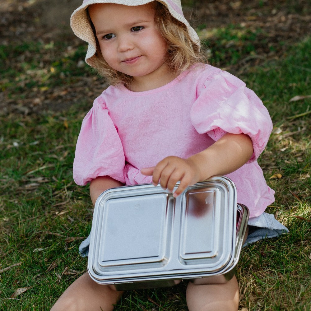Stainless Steel Duo Bento Box - Clear
