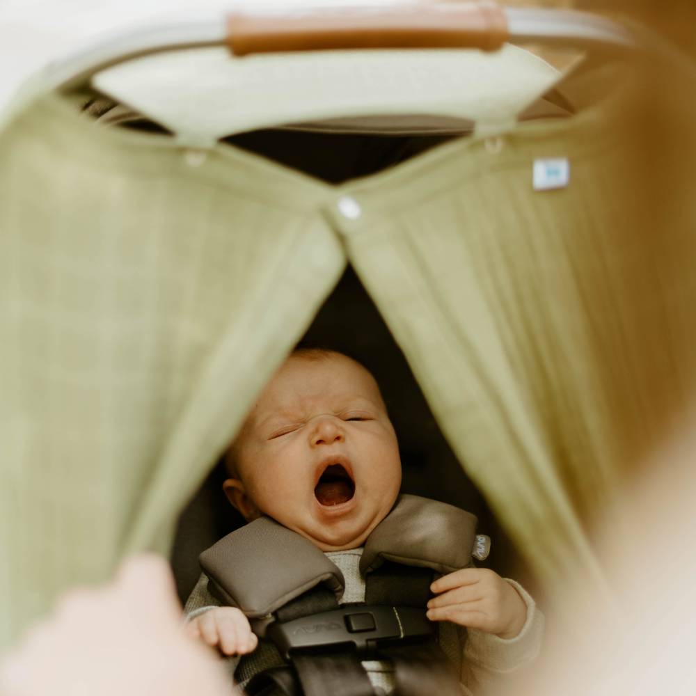 Muslin Baby Capsule Cover - Fern