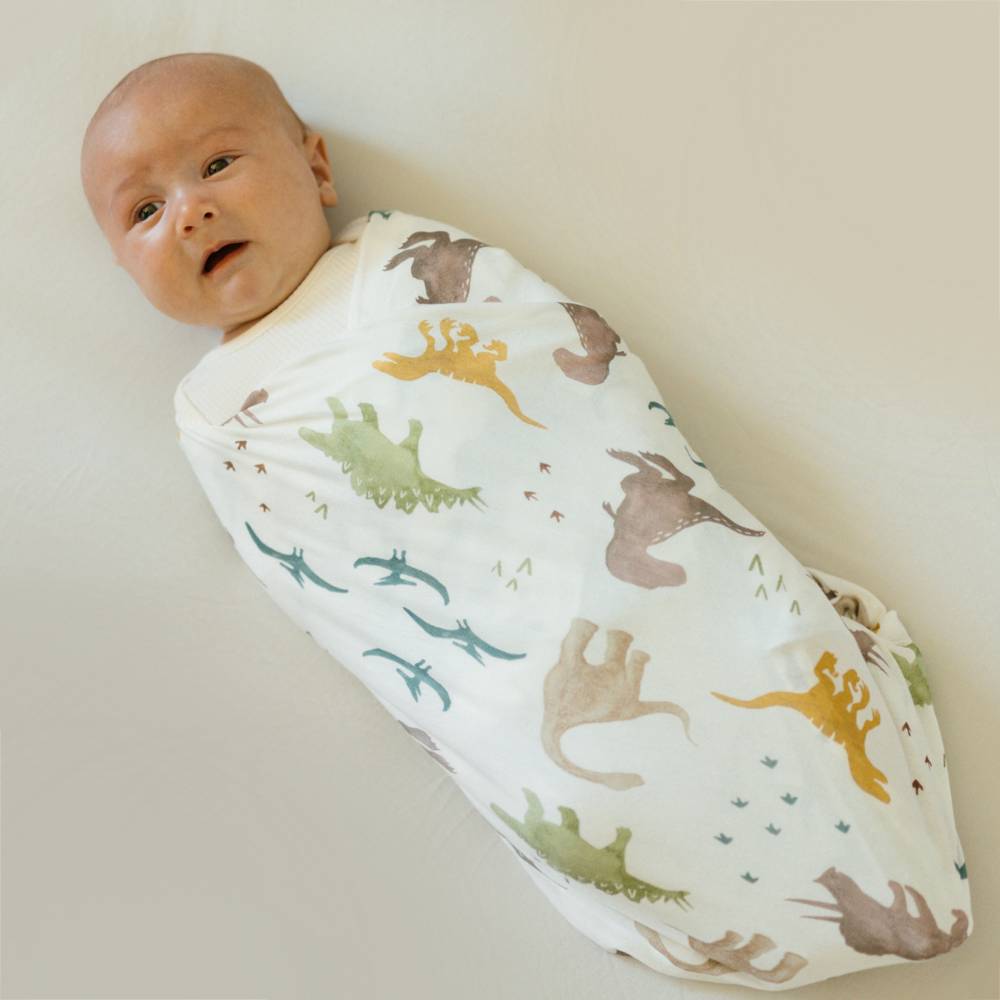 Stretch Knit Single Swaddle - Dino Pals