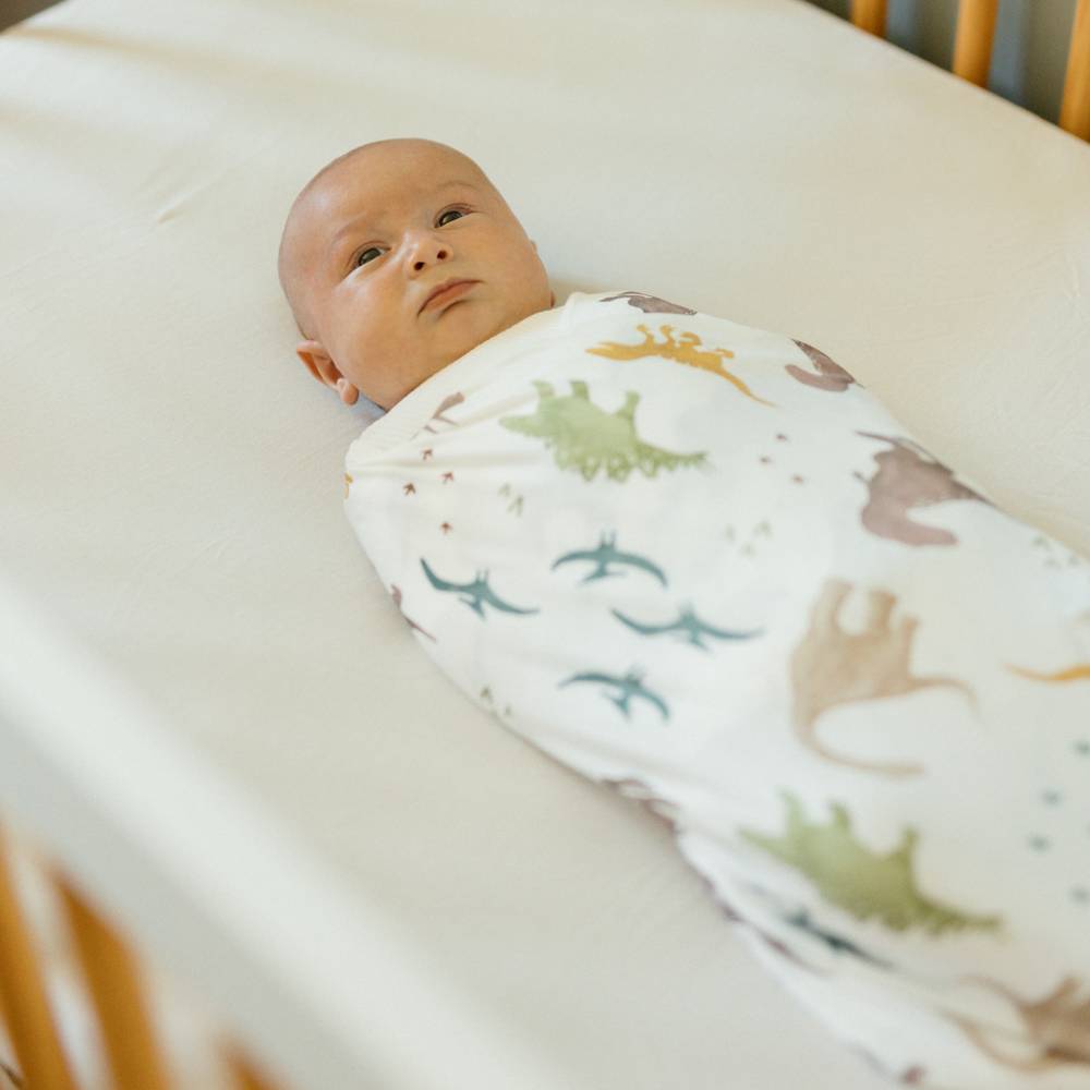 Stretch Knit Single Swaddle - Dino Pals