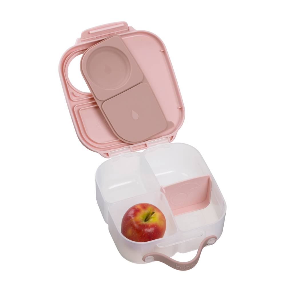 Mini Lunchbox - Blush Crush