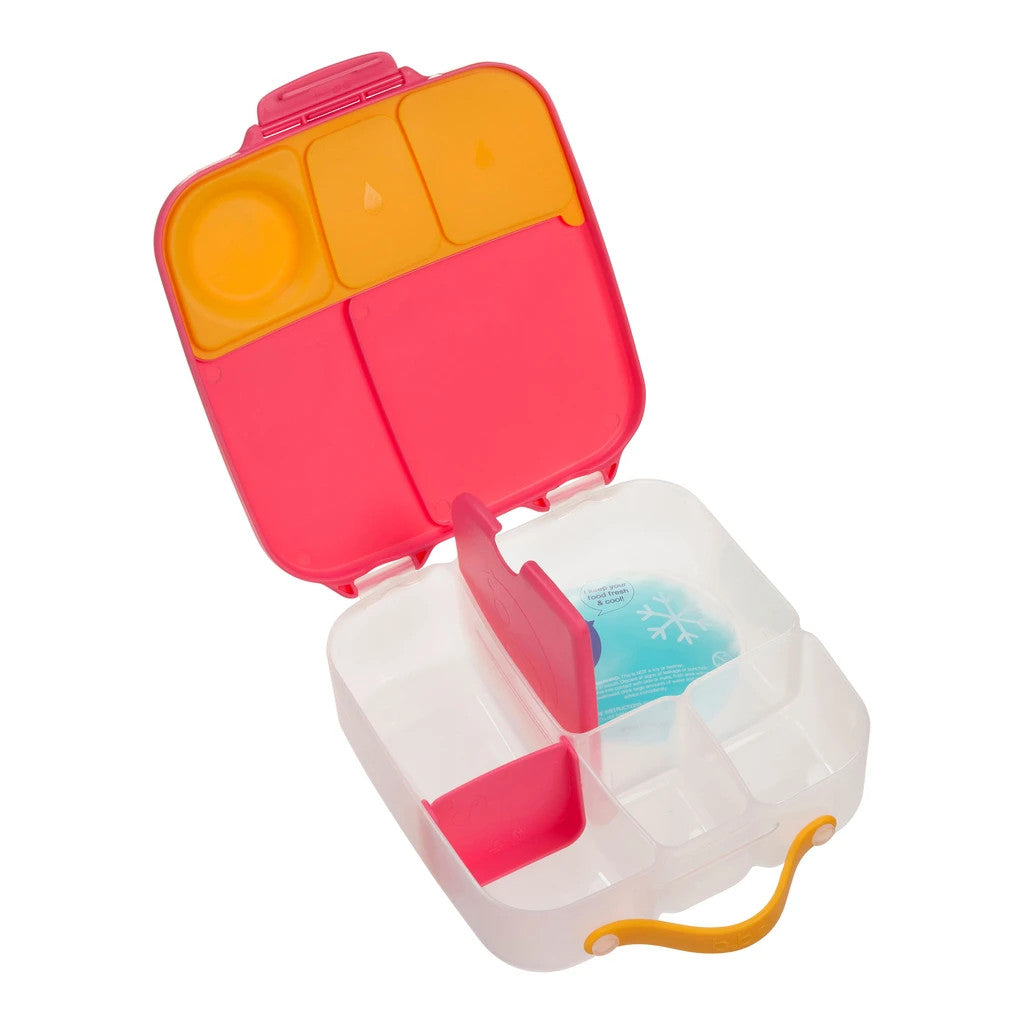 Colorful plastic container with compartments on a white background
