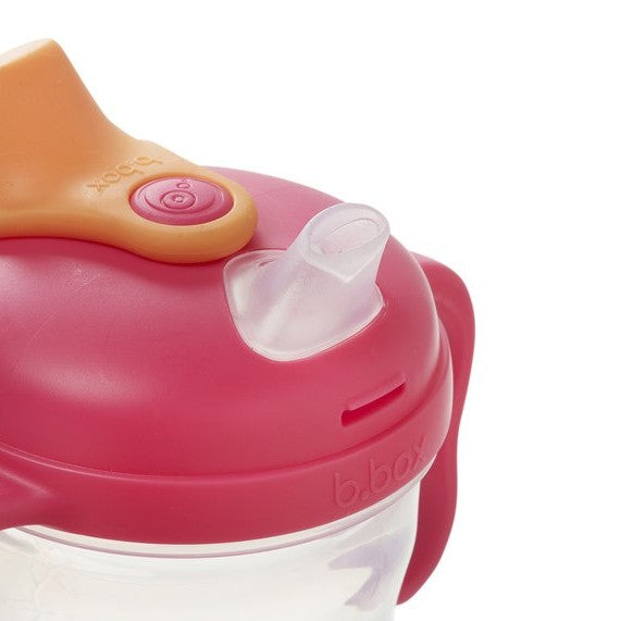 Close-up of a pink and orange lid with a clear spout on a white background