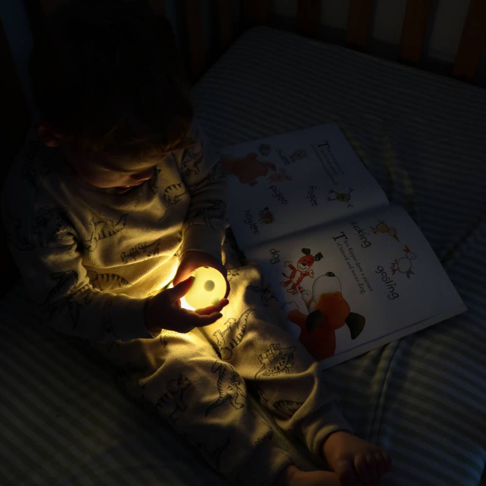Beam Buddies Torch & Nightlight - Dino
