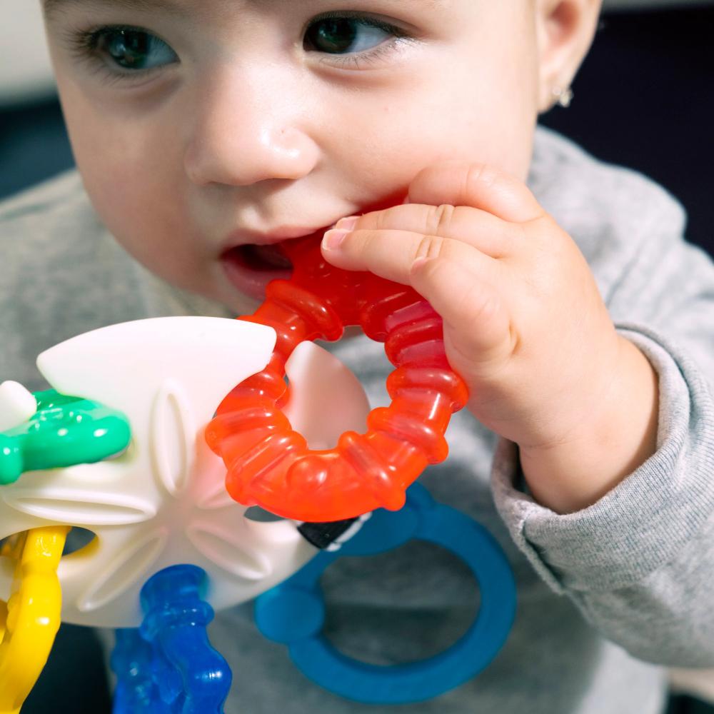 Ocean Explorers Sea of Sensory Teether Toy
