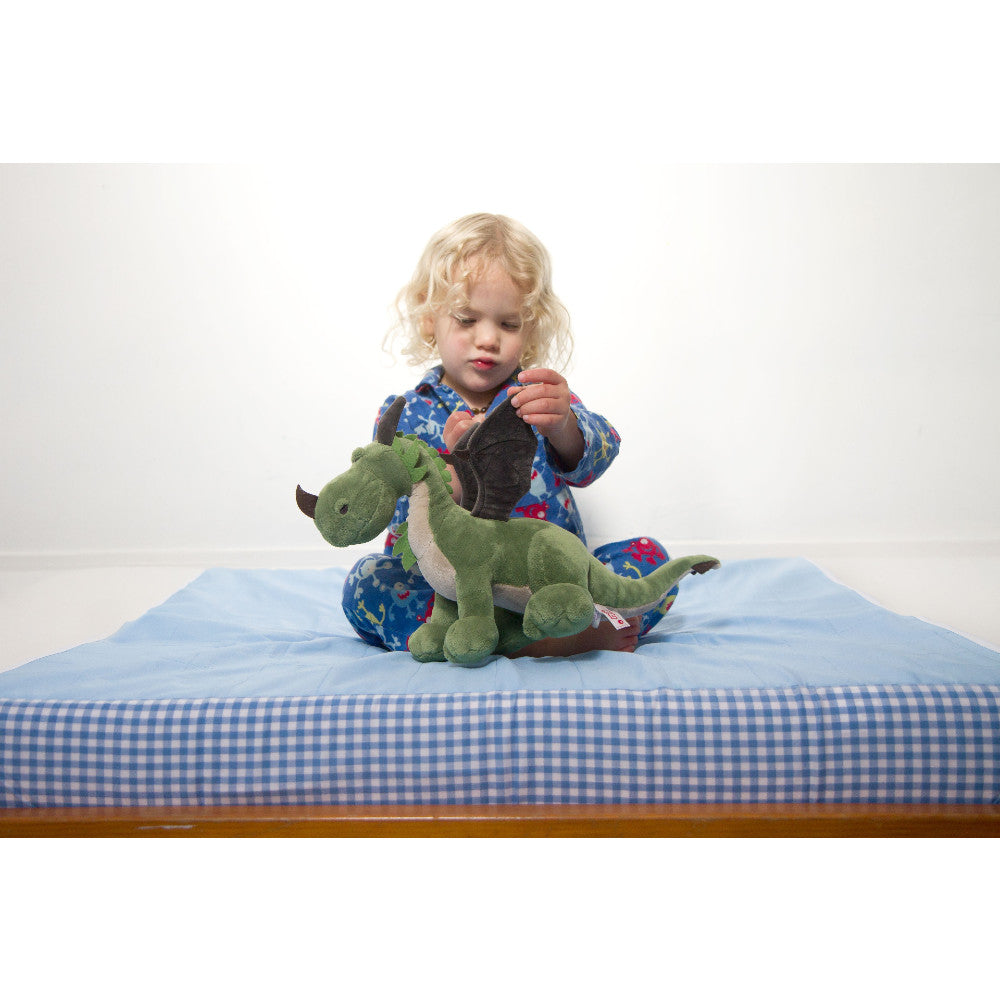 A young child with blonde curly hair sits on a blue-and-white checkered brolly sheet, holding a green plush dinosaur toy against a plain white wall background.