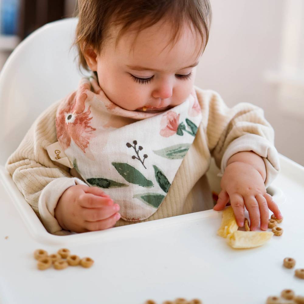 Muslin Bandana Bib Set 3pk - Parker