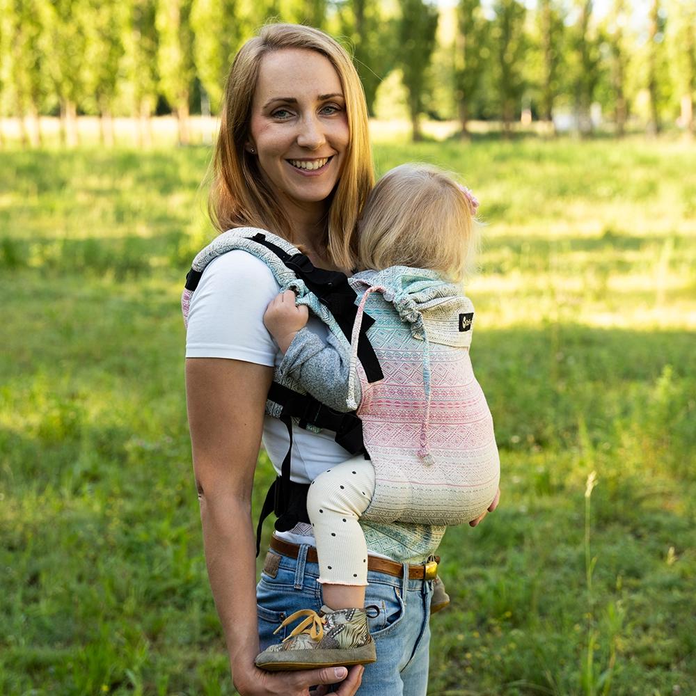 DidyFix Baby Carrier - Aurora
