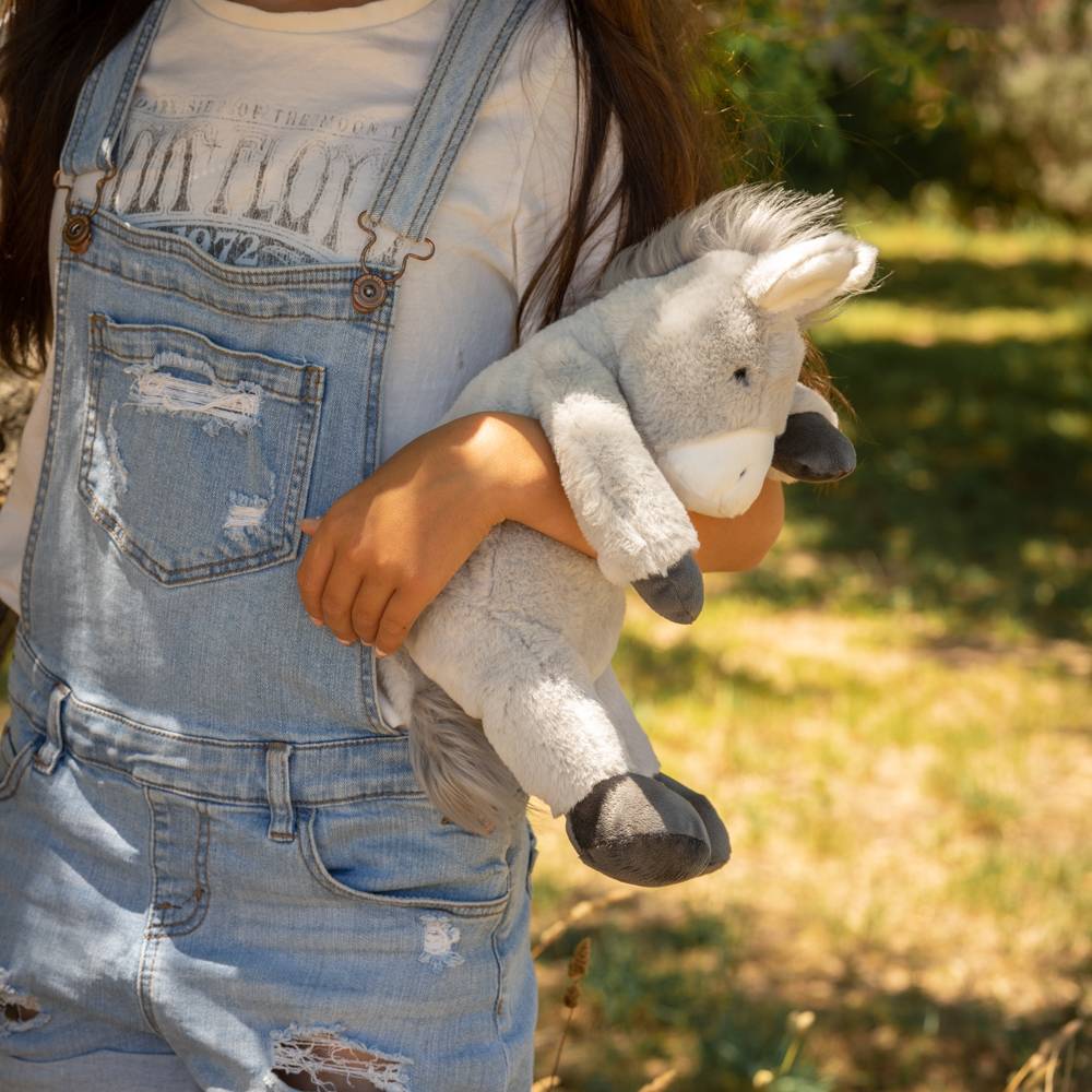 Diego the Donkey