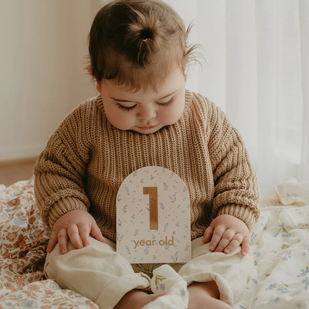 Baby Milestone Cards - Broderie