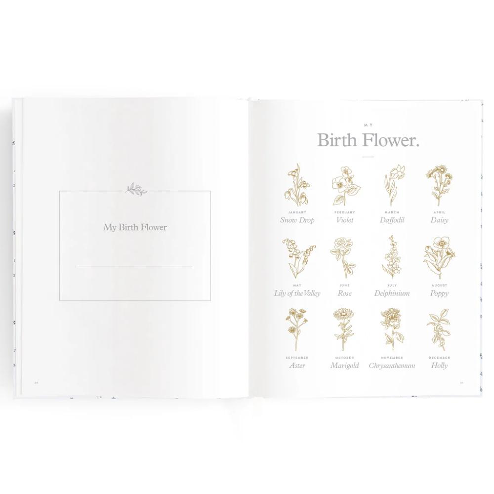 Baby Book - Coffee Stripe
