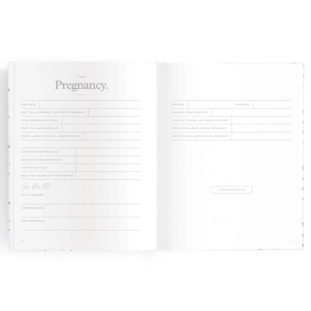 Insulated Mini Lunch Bag - Dinos