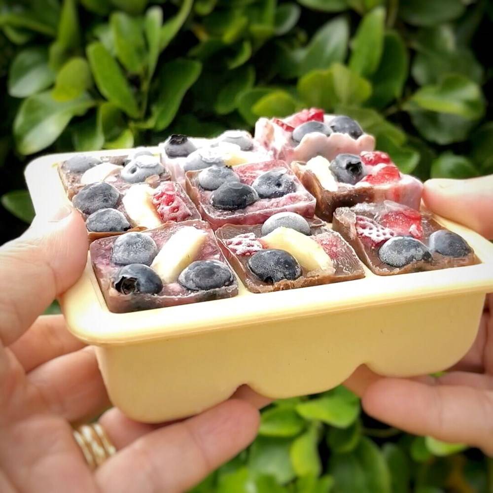 Baby Food & Breast Milk Freezer Tray - Apricot