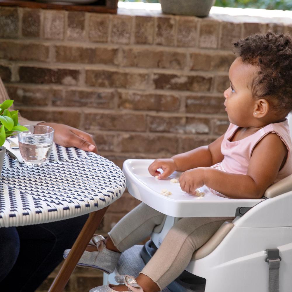 Baby Base 2-in-1 Seat - Cashmere