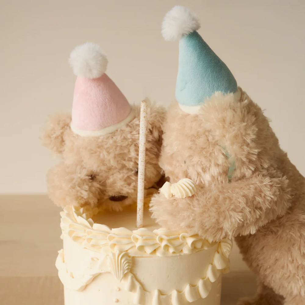 Snuggle Bunnies - Birthday Arthur - Sky