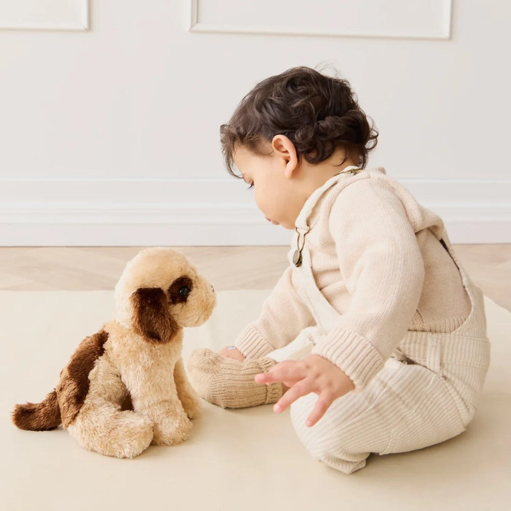 Baby and Jamie Kay dog soft toy sitting floor.