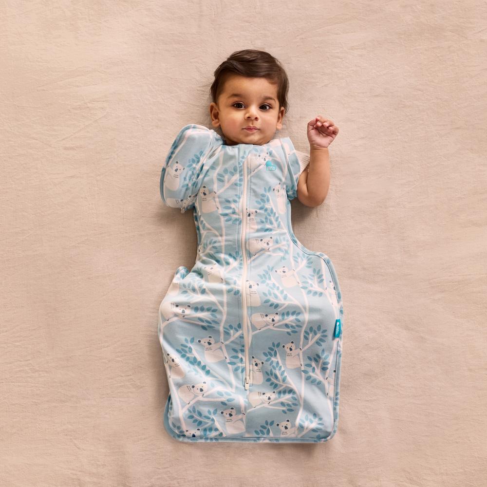 1.0 tog Swaddle Up Transition Bag Limited - Mini Koalas