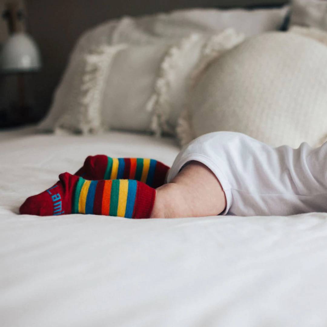 Baby Knee-High Merino Socks - Owl