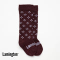 Maroon knee high socks on a white background