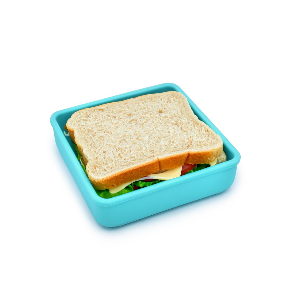 Sandwich in a blue container on a white background