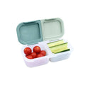 2 Compartment Snack Container - Sage/Cactus Fern, with cherry tomatoes in one compartment and sliced cucumber in the other, on a white background. 
