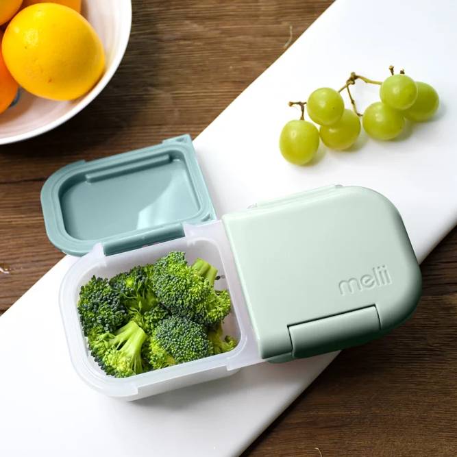 2 Compartment Snack Container - Sage/Cactus Fern