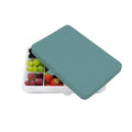Snackle Box Regular - Cactus Fern