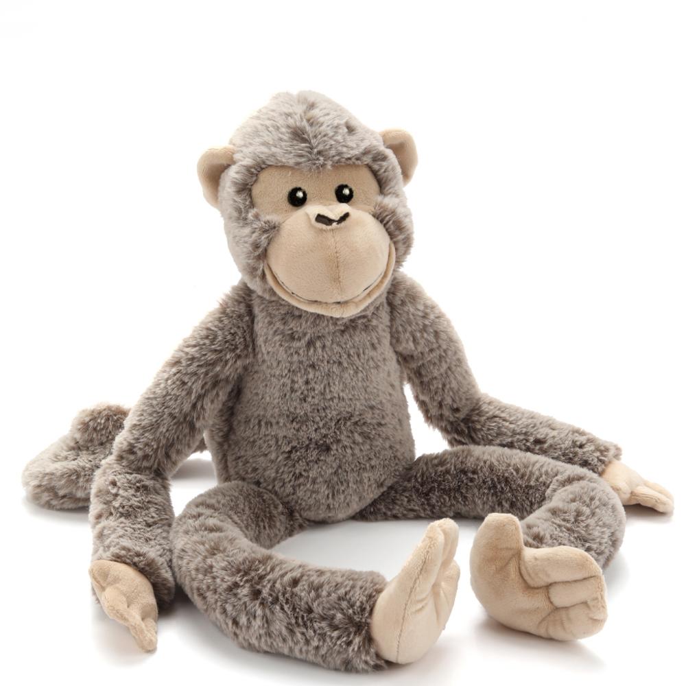 Mani the Monkey