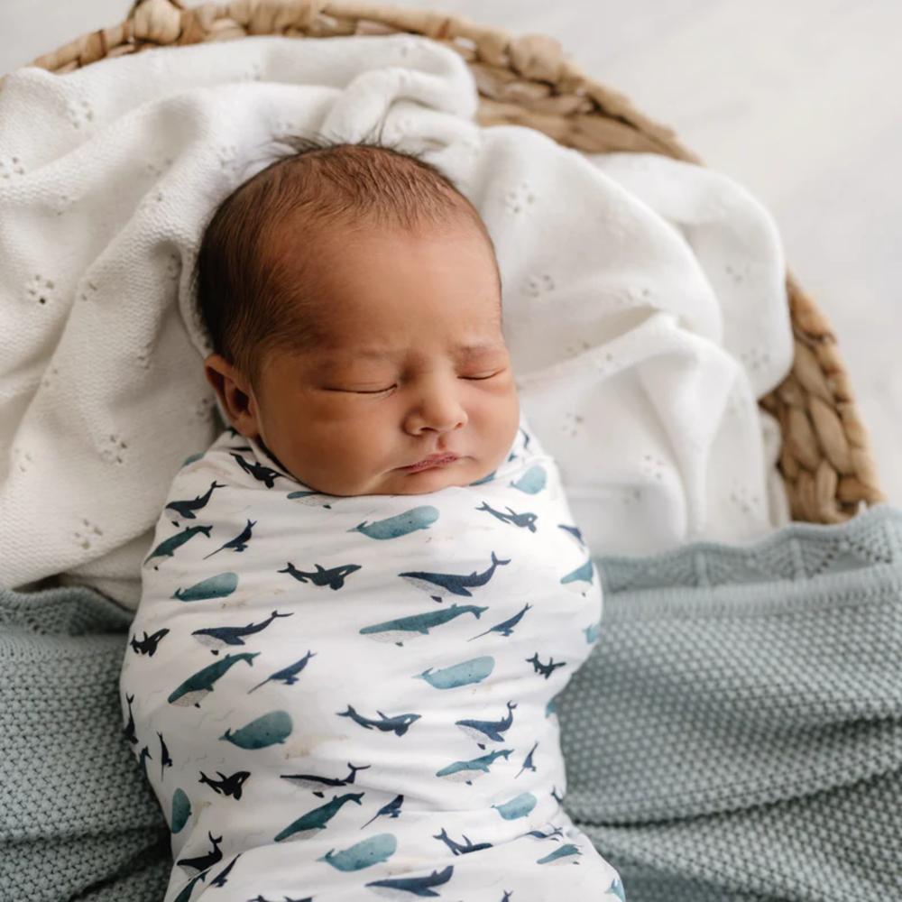 Stretchy Swaddle - Whales Tales