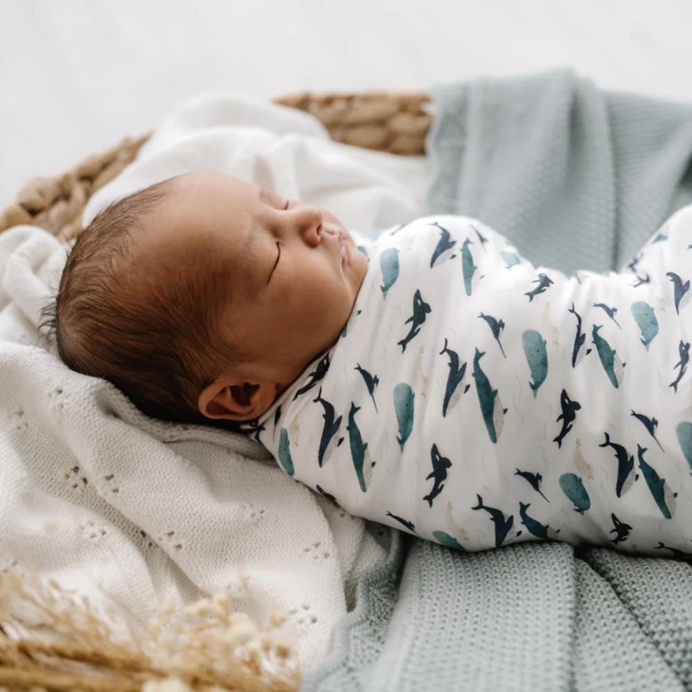 Stretchy Swaddle - Whales Tales