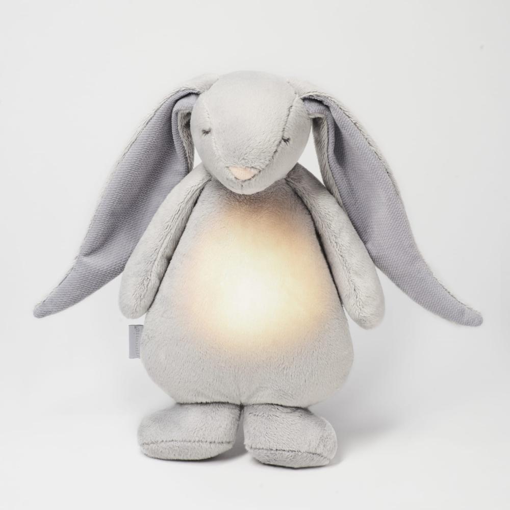 Humming Bunny with Lamp - Silver
