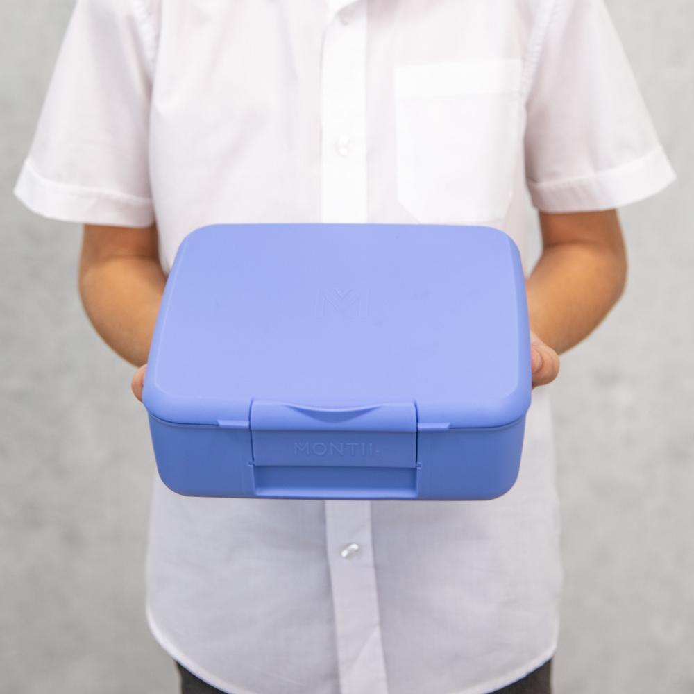 Feast Lunch Box - Splash