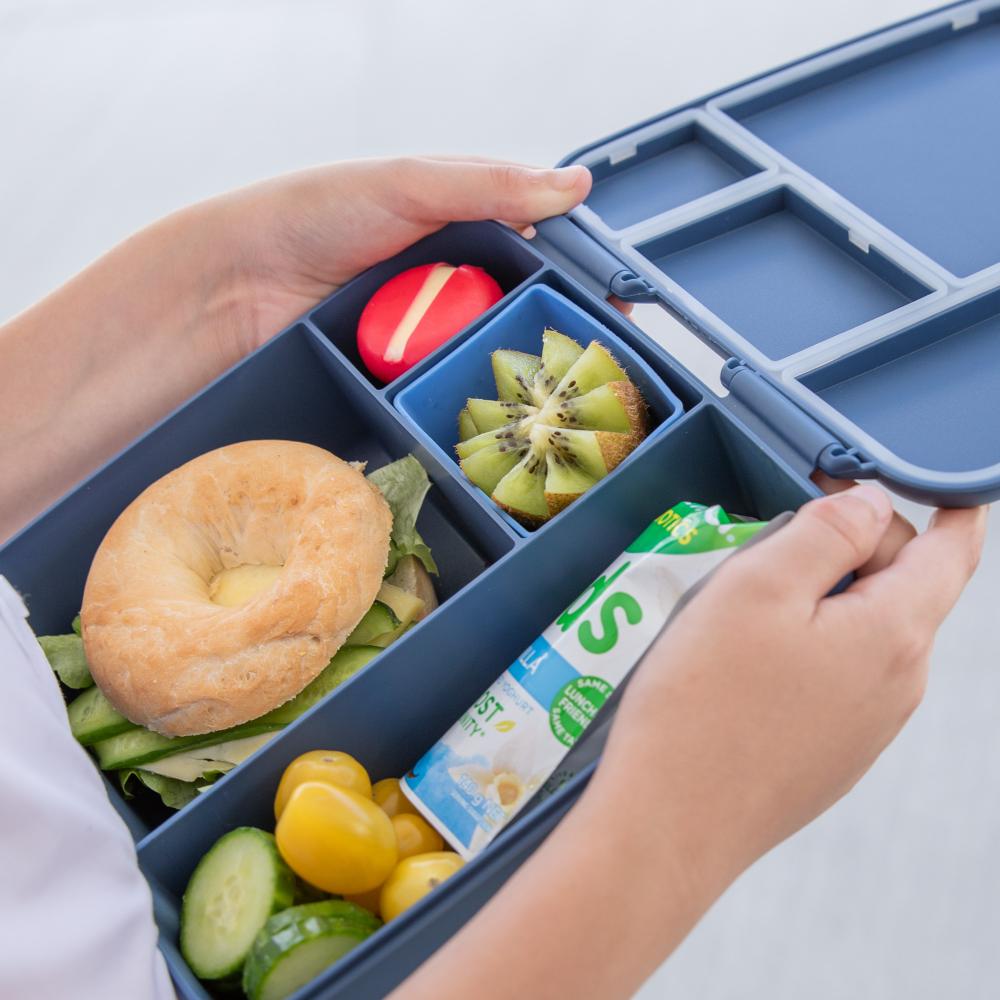 Feast Lunch Box - Splash