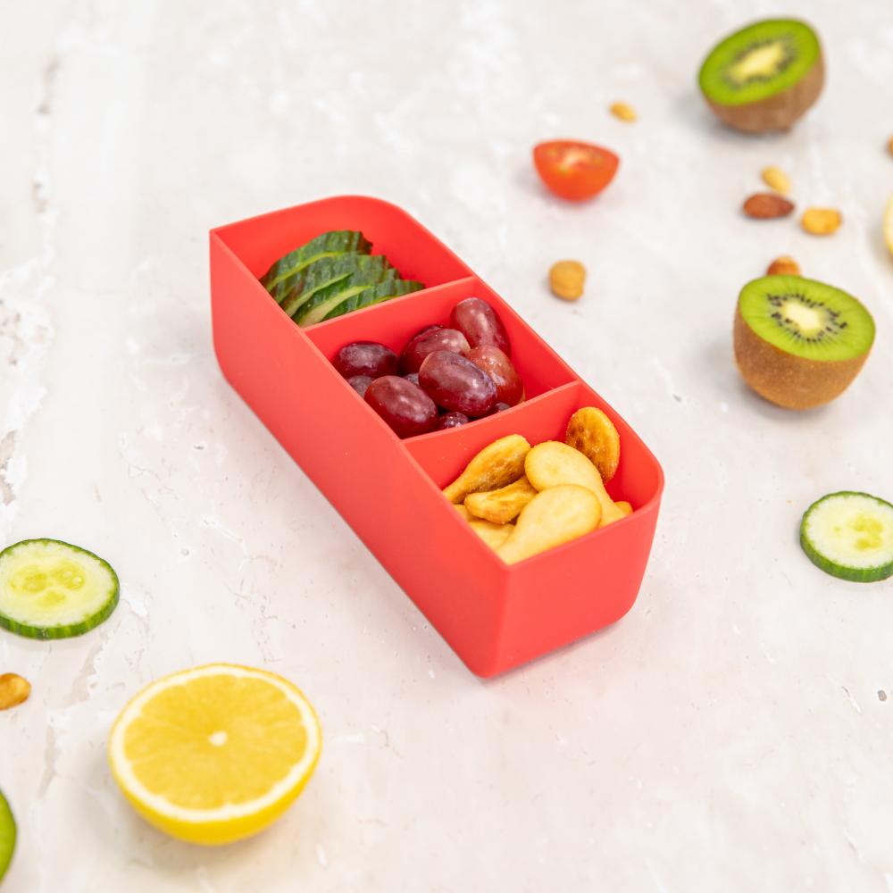 Feast Lunch Box Tray - Watermelon