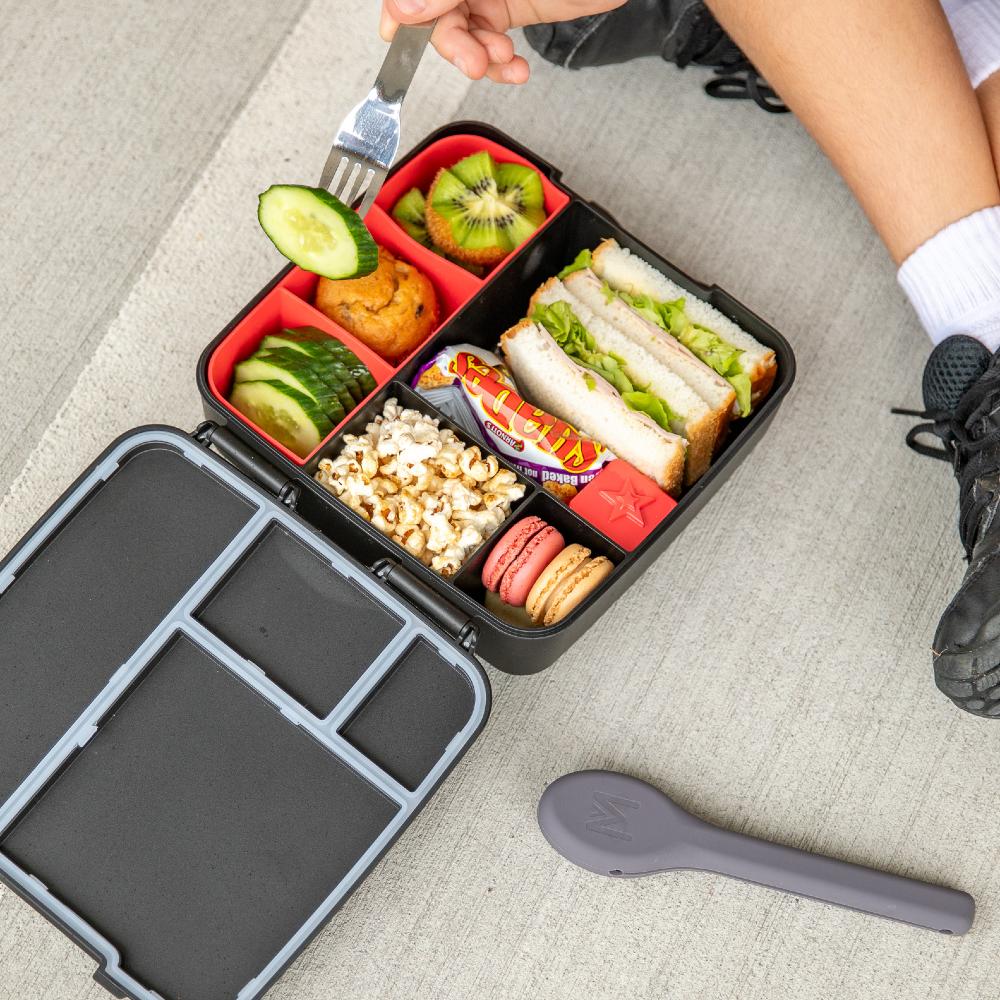 Feast Lunch Box Tray - Watermelon