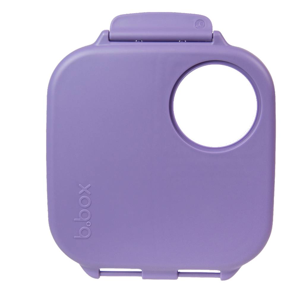 Spare Mini Lunchbox Lid
