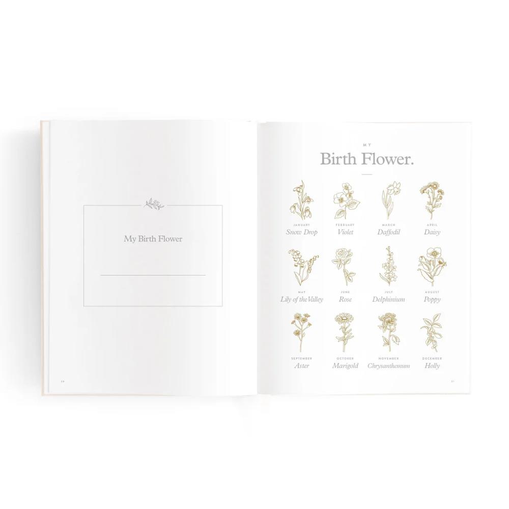 Mini Baby Book - Oatmeal