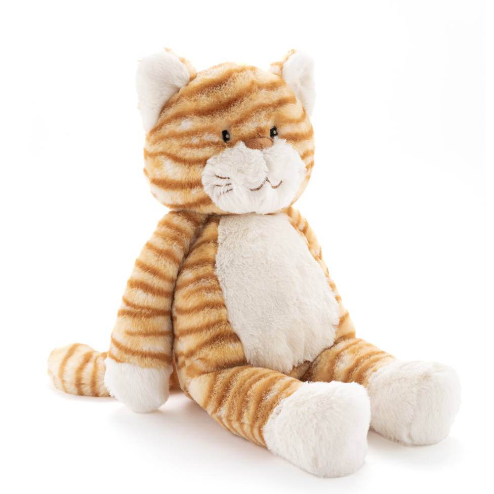 Ginger the Cat