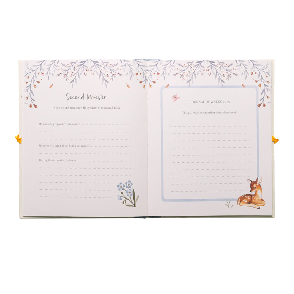 Nina Stajner Pregnancy Journal
