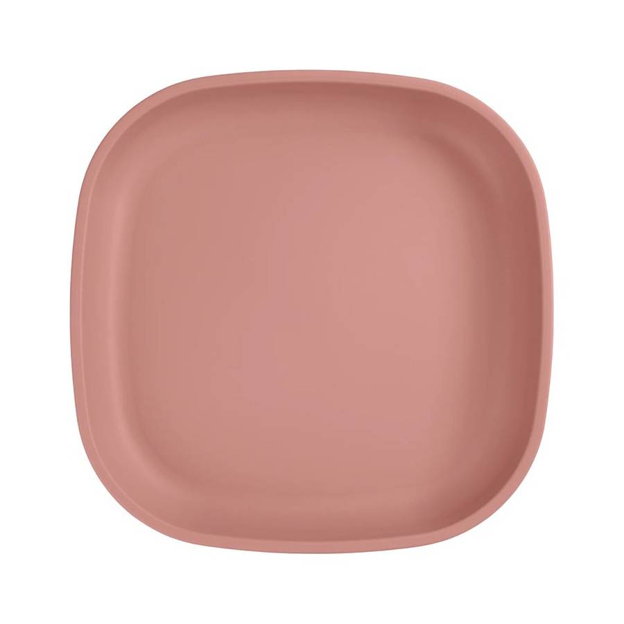A Small Re-Play Flat Plate - Desert on a white background