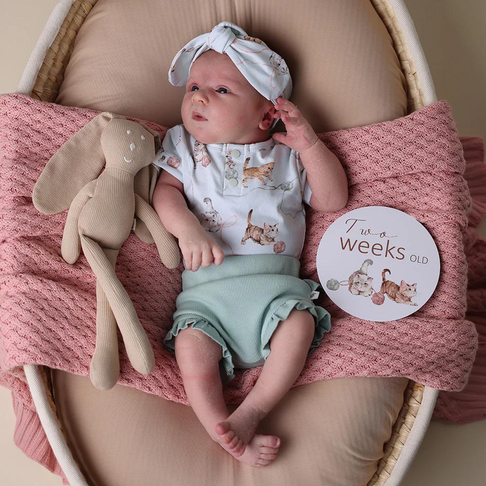 Reversible Milestone Cards - Kittens & Pebble