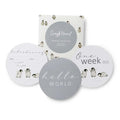 Reversible Milestone Cards Mini 3pk - Penguin