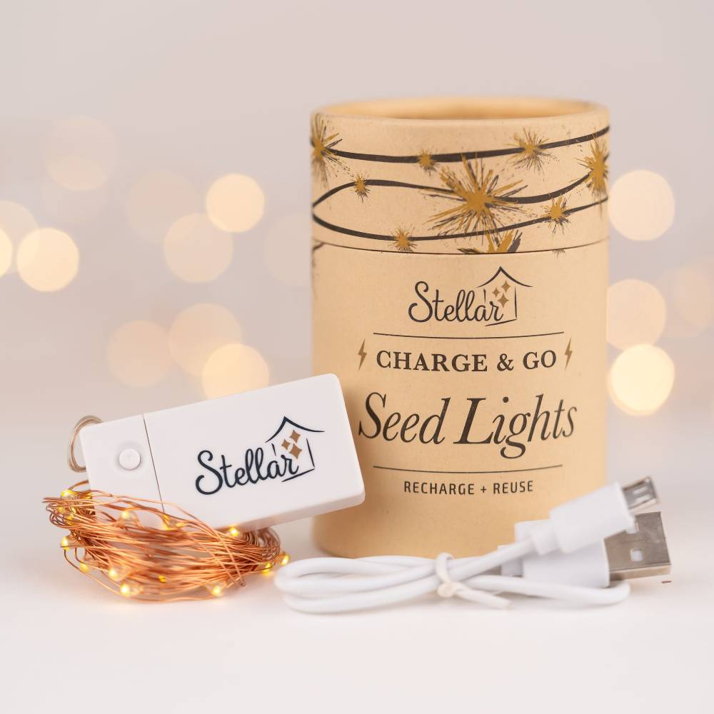 Charge & Go Seed Lights - Silver - Silver