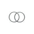 Two Silver sling rings on a white background