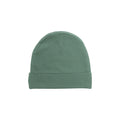 Organic Cotton Newborn Beanie - Fern (green) on a white background.