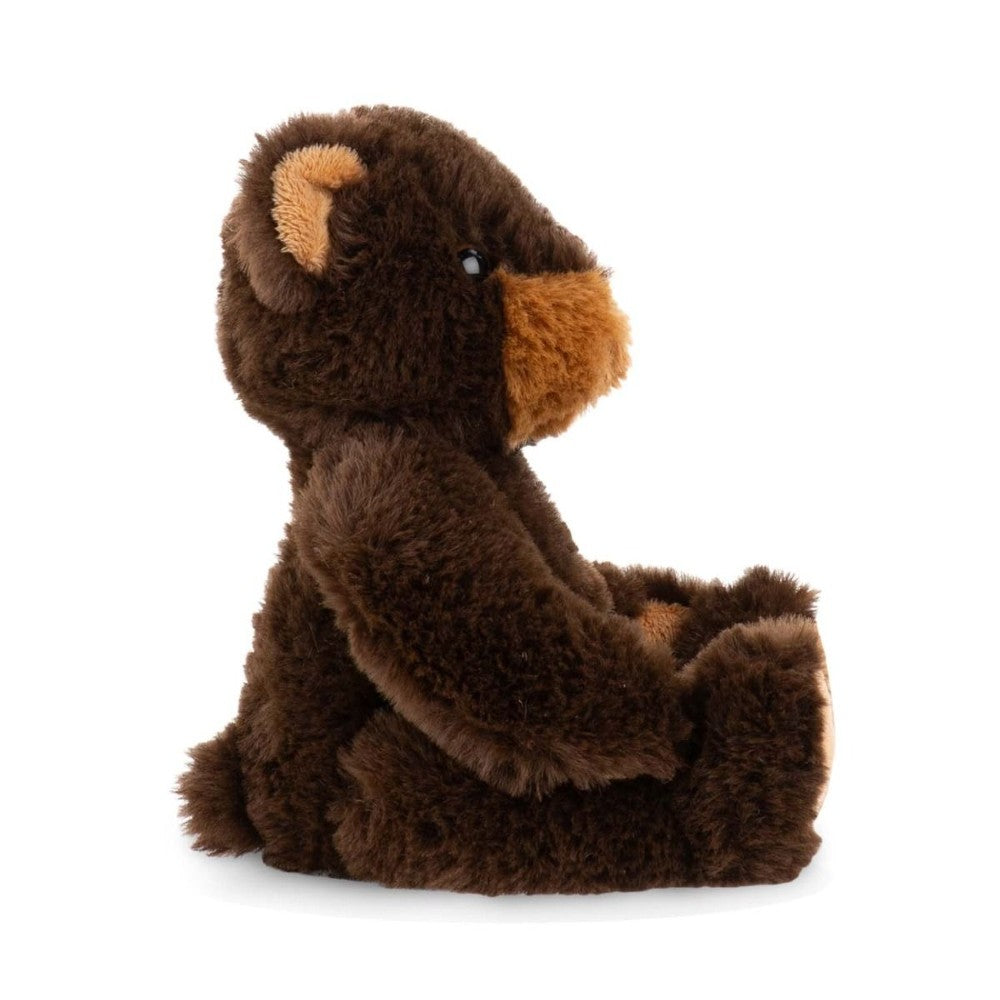 Winnipeg Black Bear