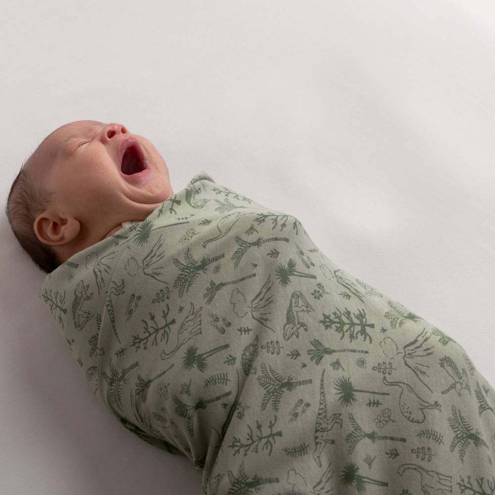 Newborn baby wrapped in a green dinosaur-patterned swaddle on a white background
